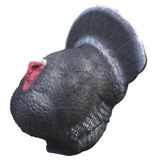 3D Tier Truthahn Gr. 3