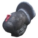 3D Tier Truthahn Gr. 3