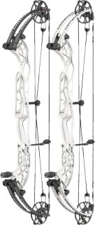 Polar White
